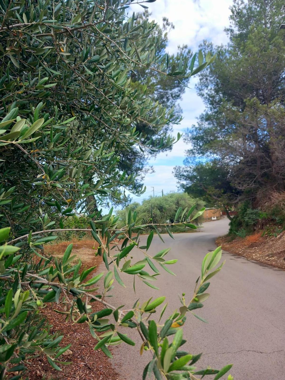 Dolci Risvegli Appartamento Vista Mare فنتيميليا المظهر الخارجي الصورة