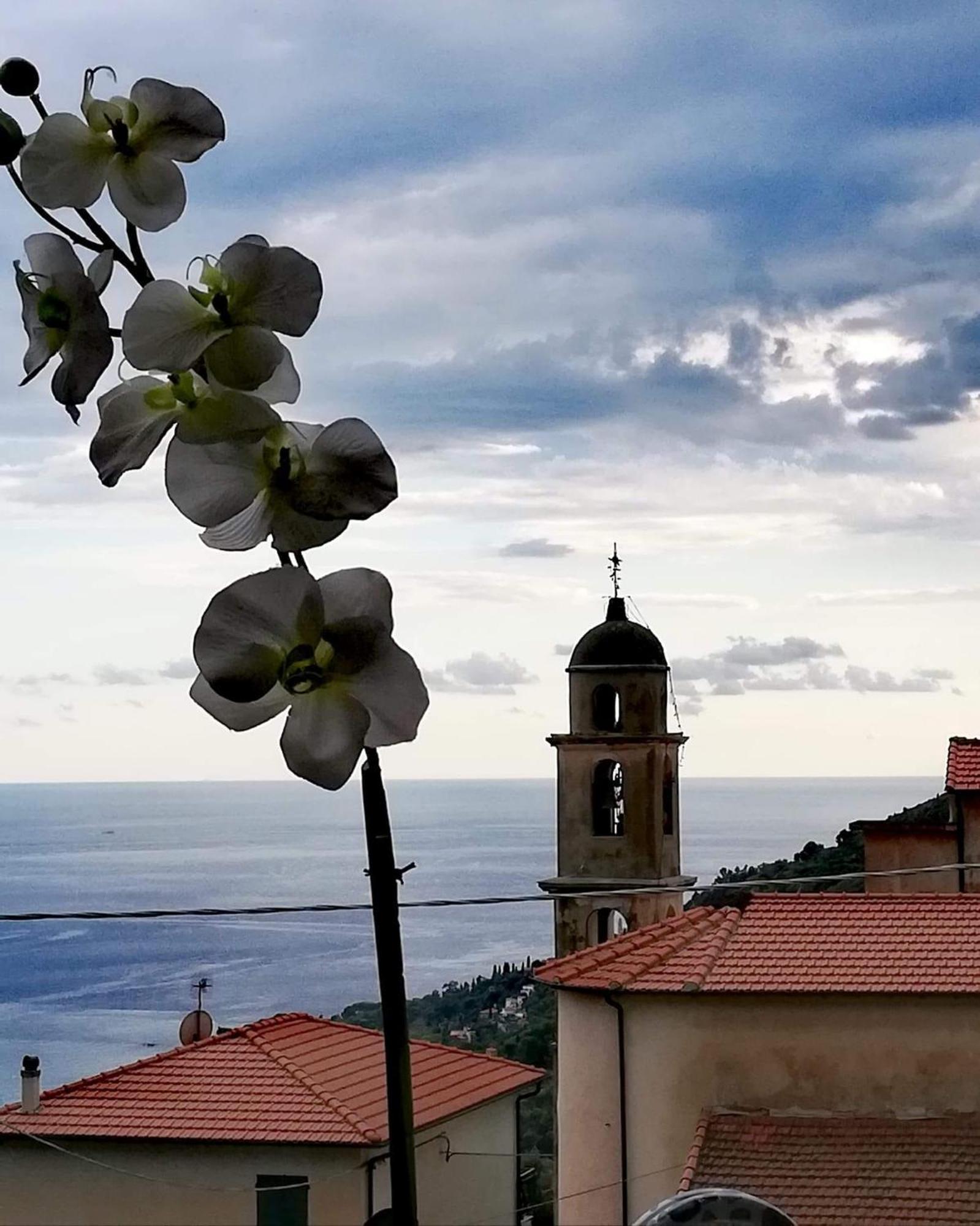 Dolci Risvegli Appartamento Vista Mare فنتيميليا المظهر الخارجي الصورة